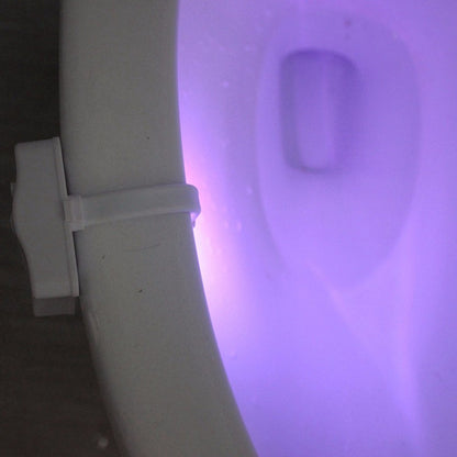 LuminaLoo Toilet Bowl Light