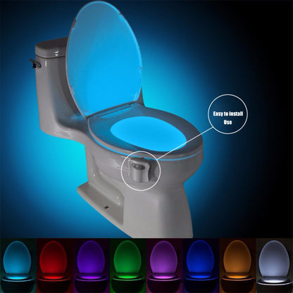 LuminaLoo Toilet Bowl Light